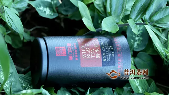 蒲门野生红黑罐上新：寒冬里，依然可以享受春天森林里的花果气息
