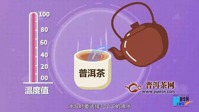 “中茶说”科普小视频第六集