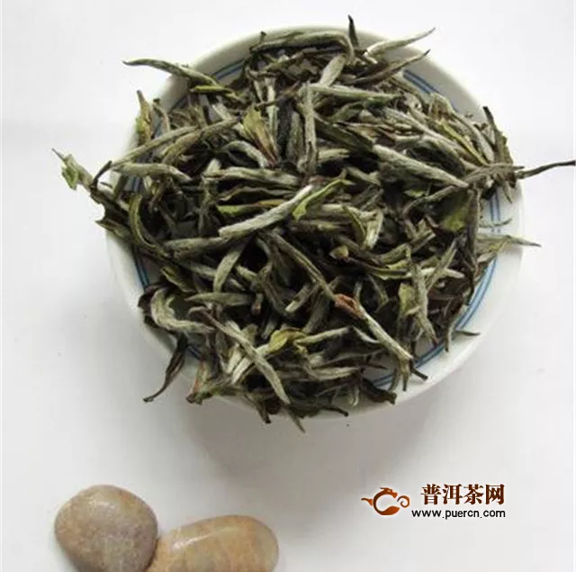 安吉白茶和福鼎白茶的茶樹品種的區(qū)別