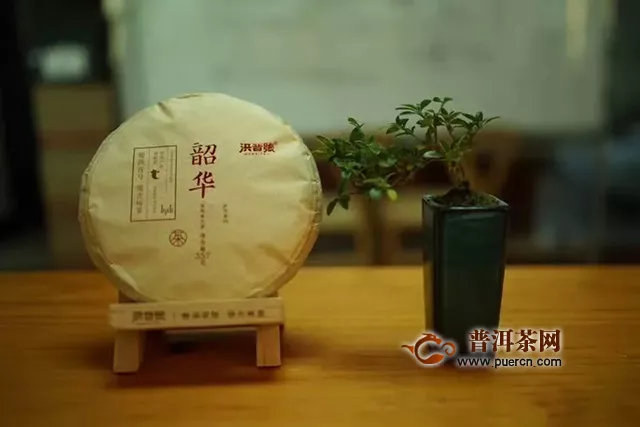 2019秋季茶博会，洪普号老洪想请您喝杯茶