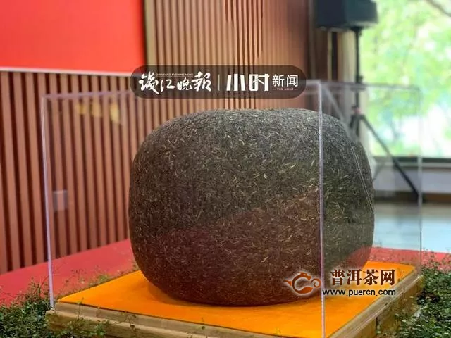 外形酷似南瓜，一枚重达70公斤！中国茶叶博物馆今起入藏“大金瓜茶”
