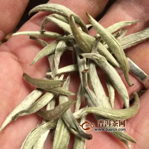 开山白毛茶怎么泡好喝