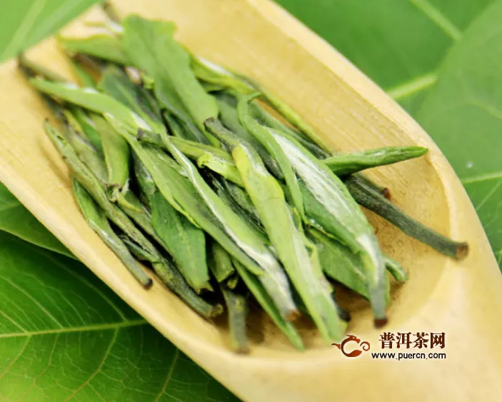 竹叶青是什么茶种？