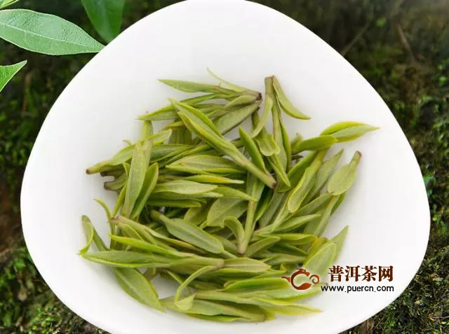 竹叶青是什么茶种？