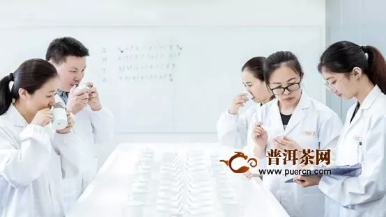 前沿科技赋能产业发展 茶企代表小罐茶发声中国茶叶科技年会