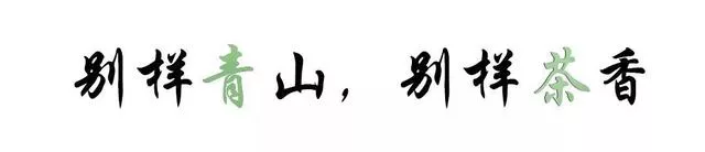 山海相接，茶香悠遠(yuǎn)