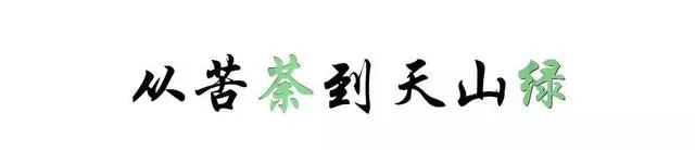 山海相接，茶香悠遠(yuǎn)