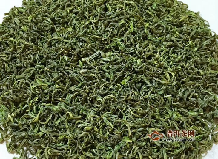 嶗山綠茶哪種好？