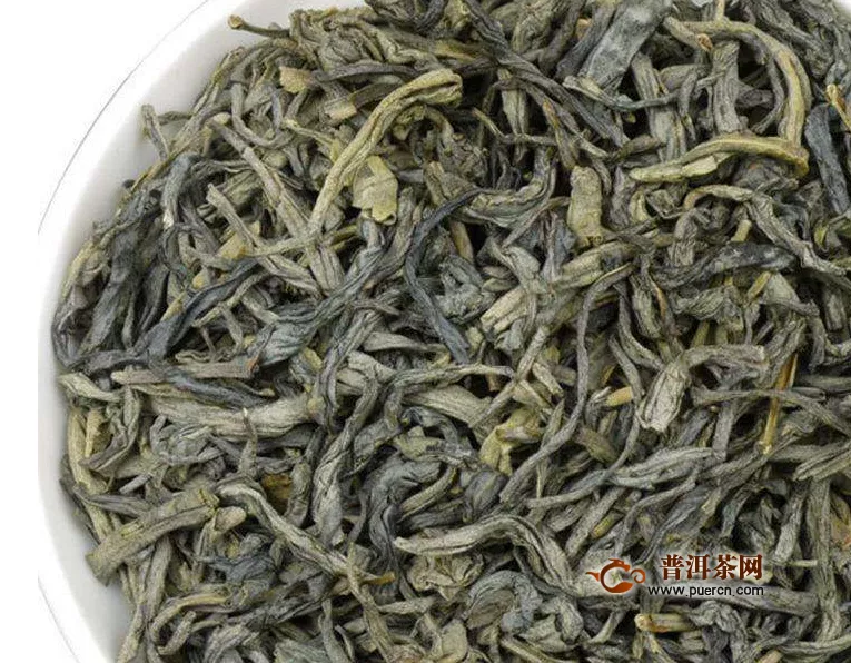 崂山绿茶采摘季节