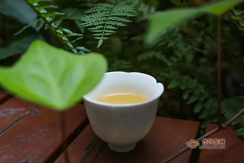 昆明國(guó)茶港招商