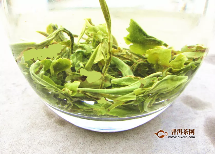 蒙顶甘露用的哪种茶树