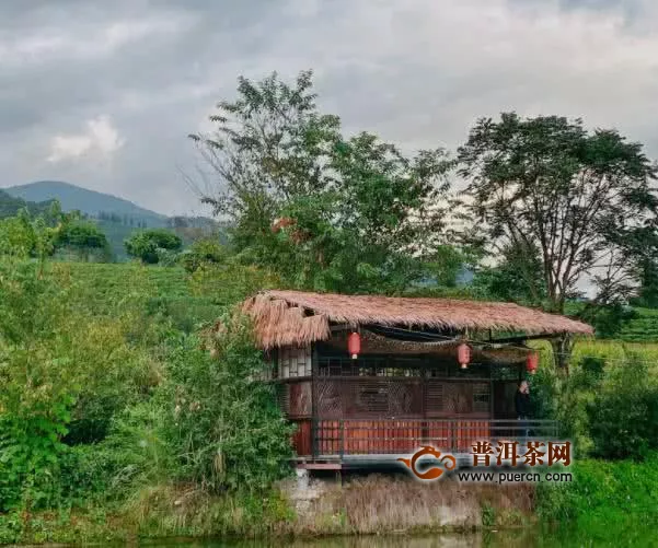 靠賣茶身價上千萬的土豪村