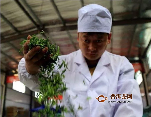 安顺茶企、茶人在第八届贵州茶业经济年会上获表彰