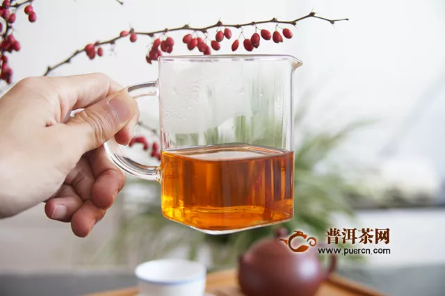 滇红的教材茶：2019年中茶普洱 中茶松针 云南红茶 395克 试用