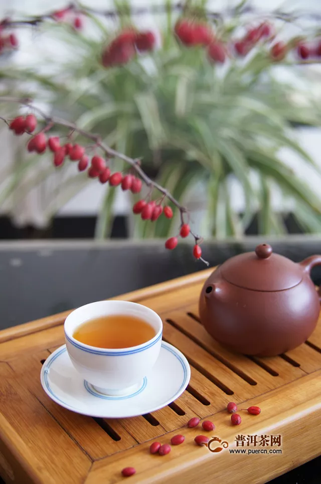 滇红的教材茶：2019年中茶普洱 中茶松针 云南红茶 395克 试用