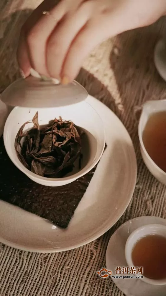 贺州：发展茶产业加工企业141家