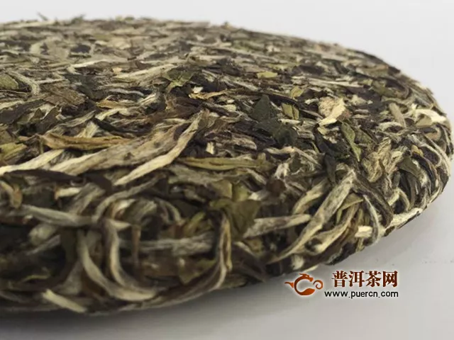 白牡丹茶饼可以放多久