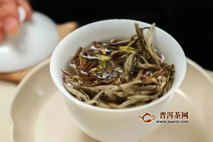 白牡丹茶饼可以放多久