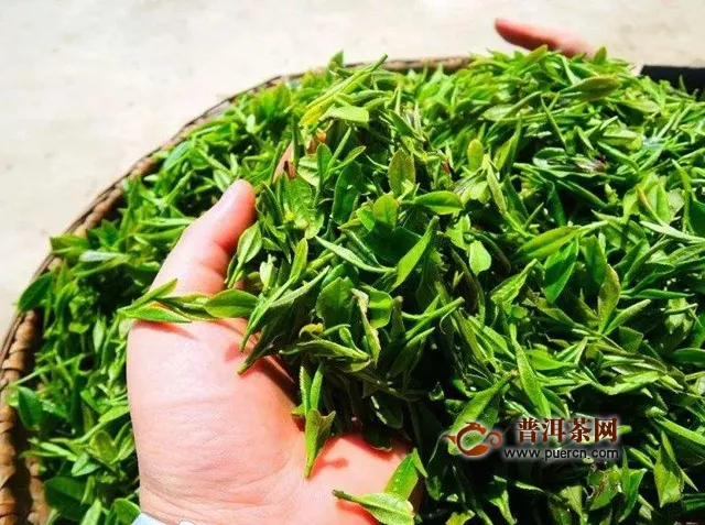 雨花茶干茶形狀特點(diǎn)