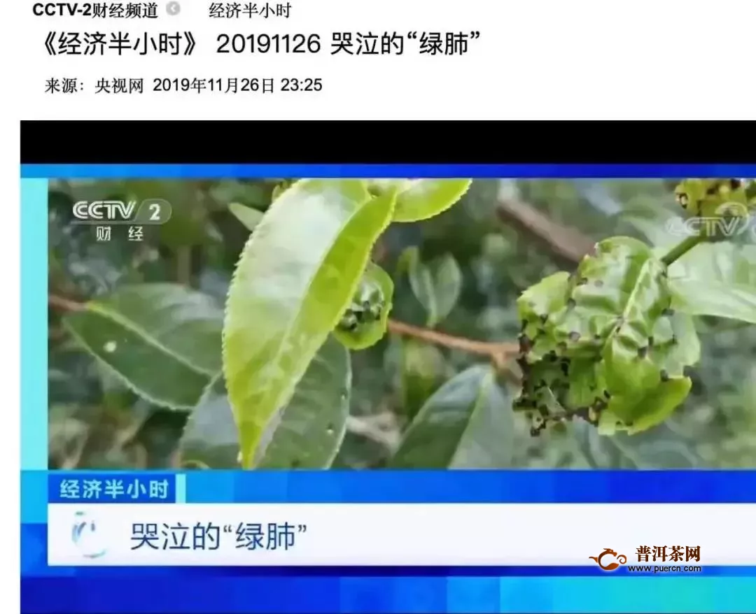 2019年的八卦茶事