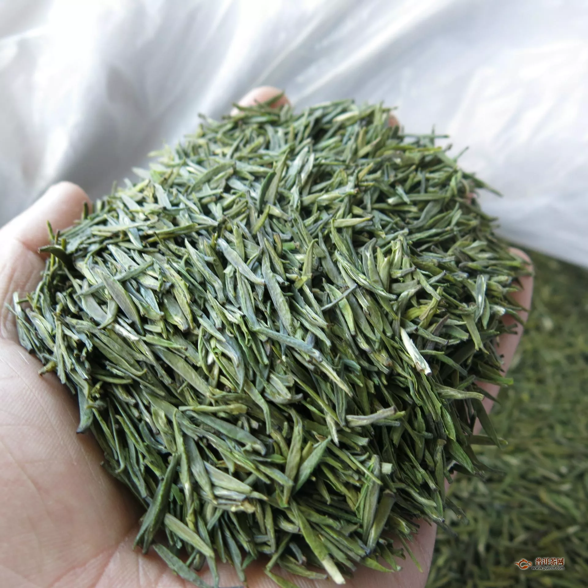 南山寿眉茶是如何制作的