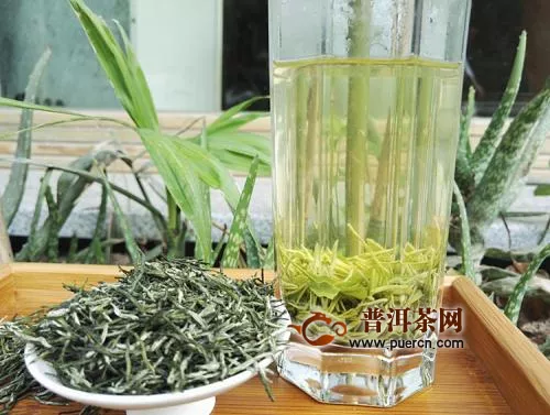 永川秀芽是什么茶？有什么特点？