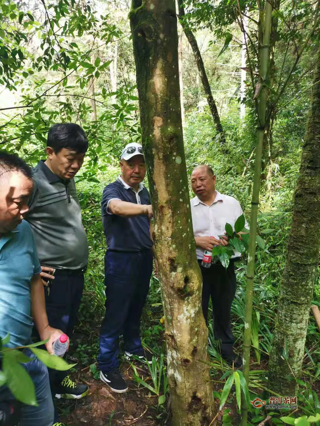 面孔里的年度记忆，看看这一年的贵州茶圈哪个会是你自己