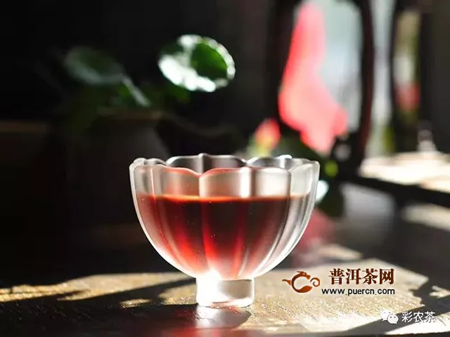 彩农茶｜易武晒红：用一杯茶的温暖，迎接农历新年的到来