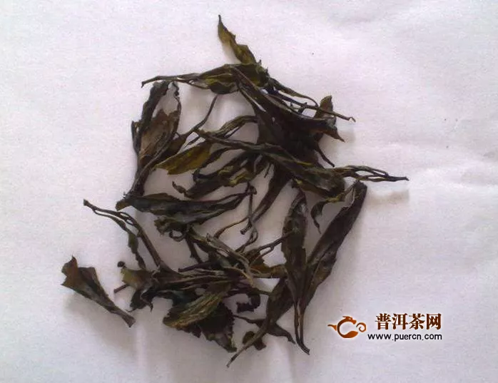 苦丁香茶的功效与作用及禁忌