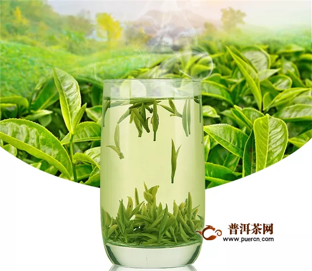 綠茶中的哪個(gè)好