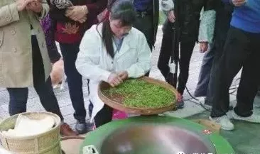 普通农家女百练成“茶王”
