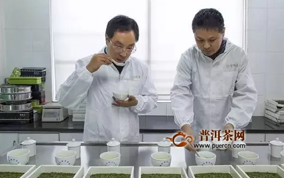 竹叶青能否成为中国茶业的品牌破冰者？