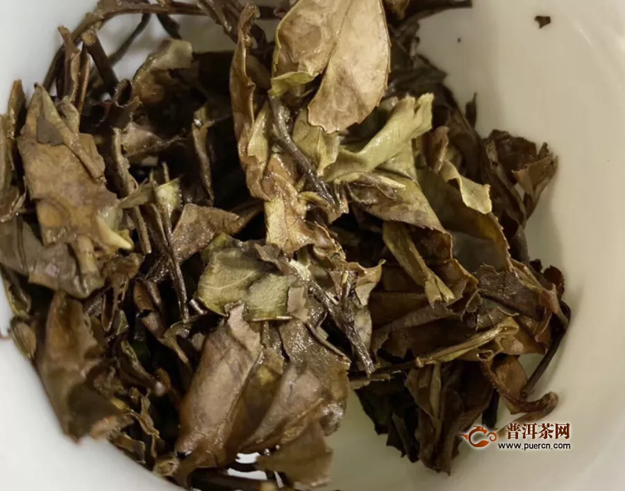 白牡丹属于发酵茶吗