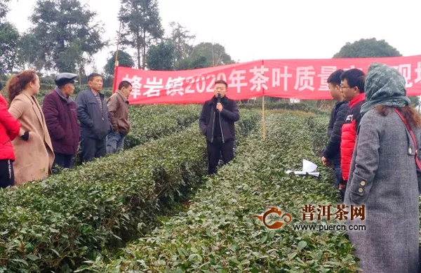 蜂岩：茶农宣誓保茶叶质量安全