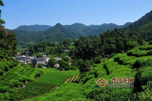杭州“最特殊”的名茶产地，多国元首访问过