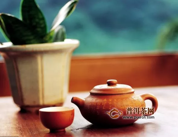 白茶成为当下茶行业的最大风口之一