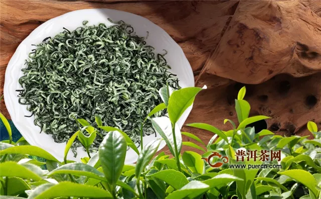 龍井茶和碧螺春哪個(gè)好喝