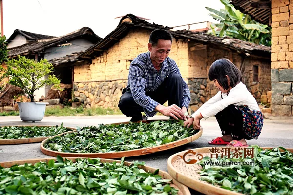 传统茶产业如何全面拥抱新消费？