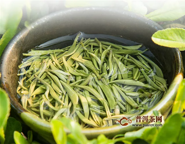 什么样的碧螺春茶最好？怎么鉴别？