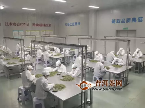 川茶大区域品牌天府龙芽实力领衔 加速推进川茶产业创新升级
