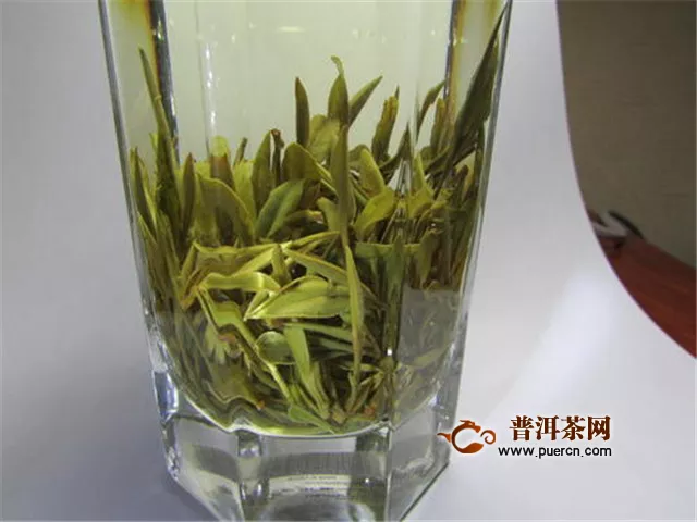 黃茶和黑茶區(qū)別，認清三個區(qū)別選茶不迷茫！