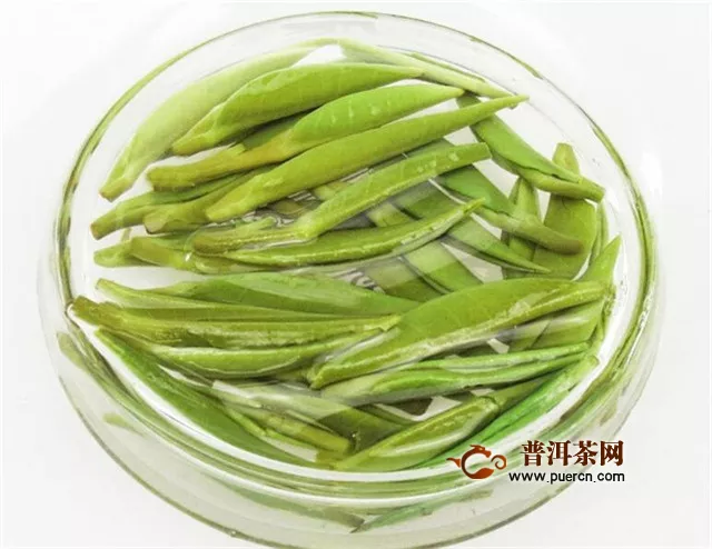 綠茶用什么茶具