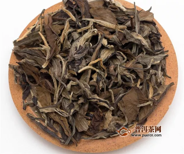 白牡丹散茶和茶饼