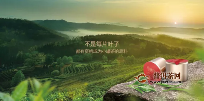 杜国楹未来30年专注于做中国好茶