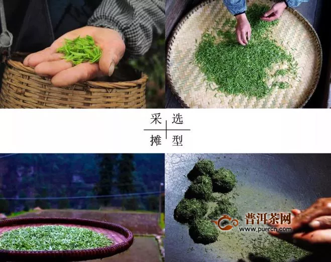 一斤都匀毛尖有多少个芽头？