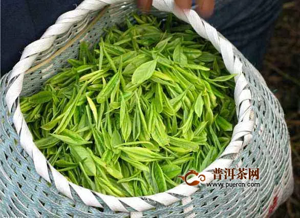 2020青岛茶博会|2020中国原产地茶业交易会暨茶器艺术展 