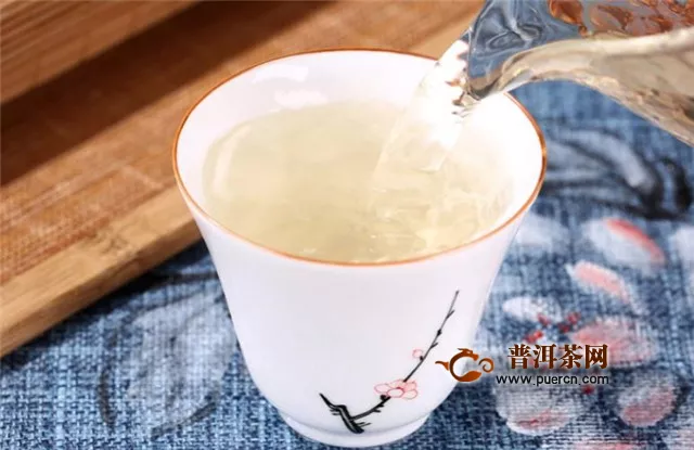 中国白茶起源地——福鼎