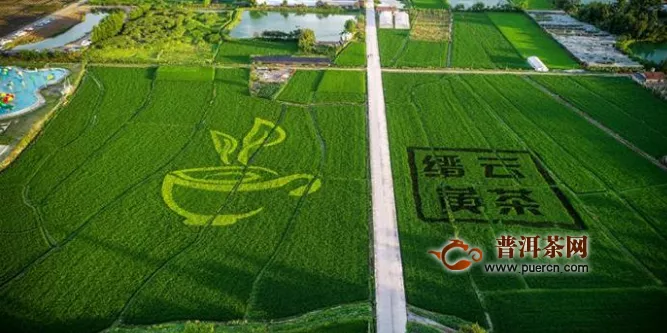 县农业农村局“1+3”模式　助力茶产业战“疫”