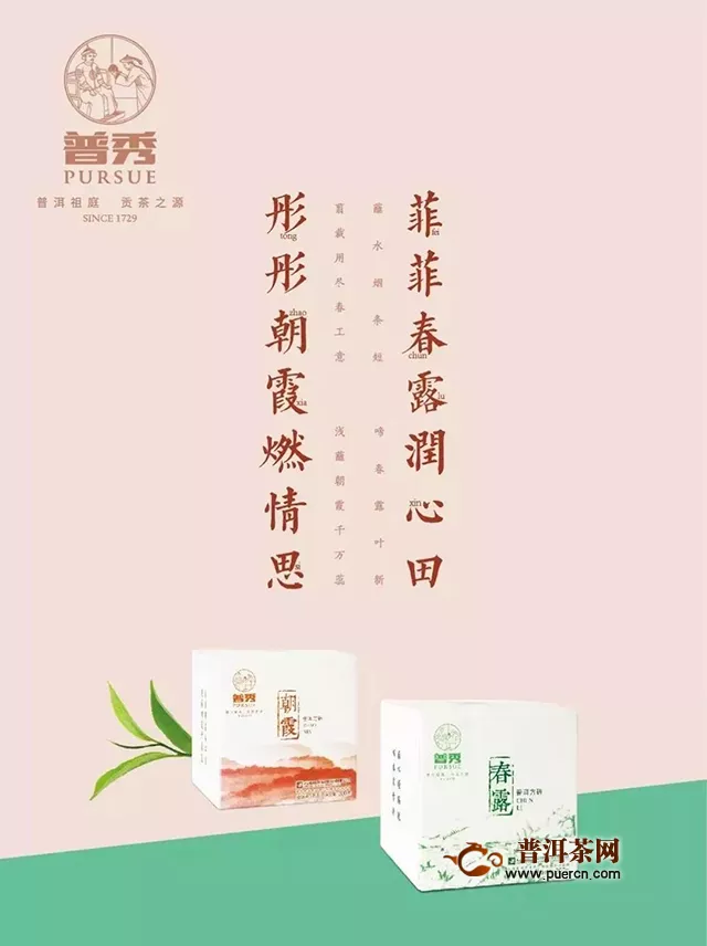 二月二龙抬头，鸿运当头！普秀云南普洱茶买2送2