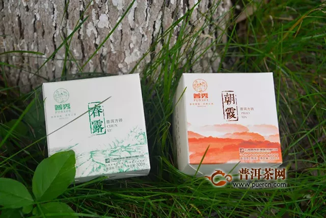 二月二龙抬头，鸿运当头！普秀云南普洱茶买2送2